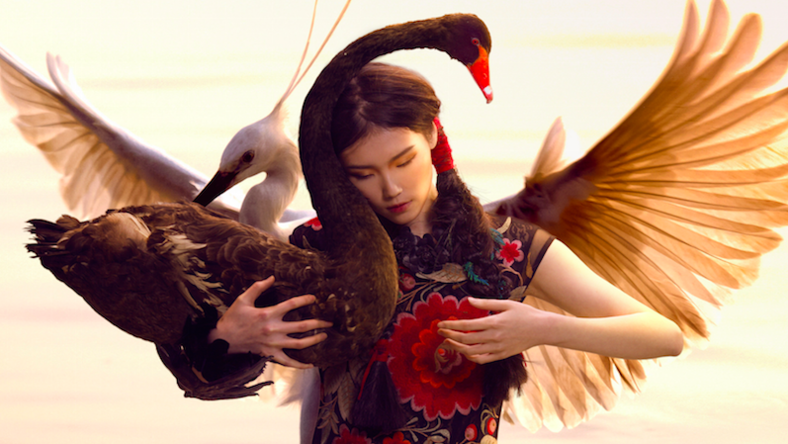 创始人家族持股超77%、营收毛利率三年下滑,“裂帛”上市,喜忧参半